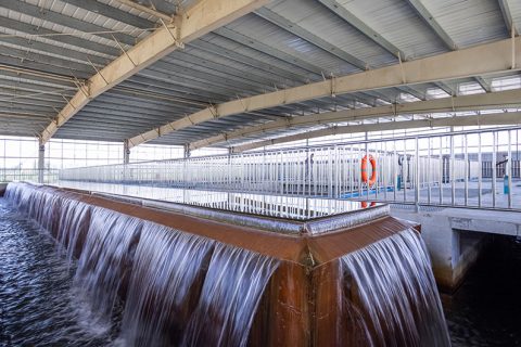 怎么保养多功效微型过滤机？？？？？